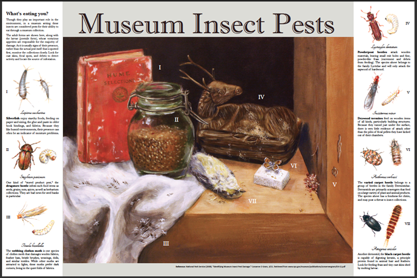 Museum Pests interpretive panel, acrylic