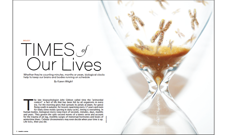 <em>Scientific American</em>-style conceptual spread, digital